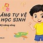 Ảnh Con Lợn Bị Ngã Khỏi Xe