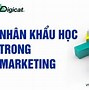 Chuyên Viên Digital Marketing Là Làm Gì