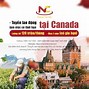 Đặc Điểm Lao Động Của Canada