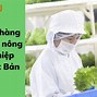 Nhiệm Vụ Của Kỹ Sư Trồng Trọt Là Gì