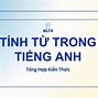 Tính Từ Phổ Biến Trong Tiếng Anh