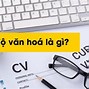 Trình Độ Văn Hóa Đang Học Đại Học